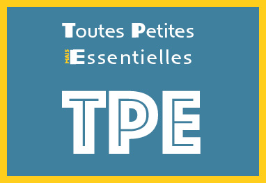 Elections TPE 2021 (Très Petites Entreprises)