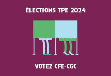 Élections TPE 2024